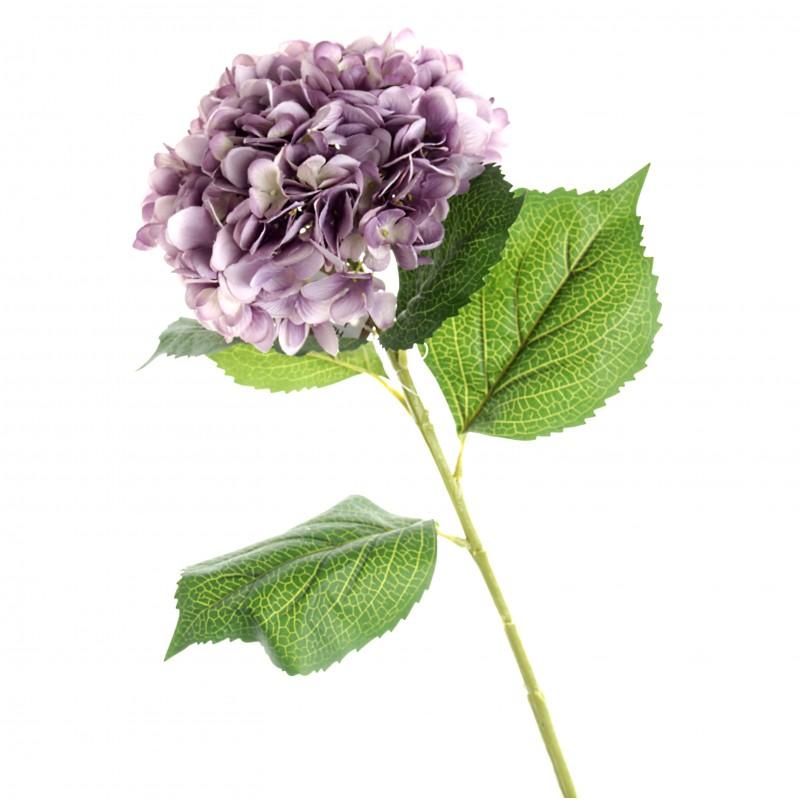Hydrangea Light Purple