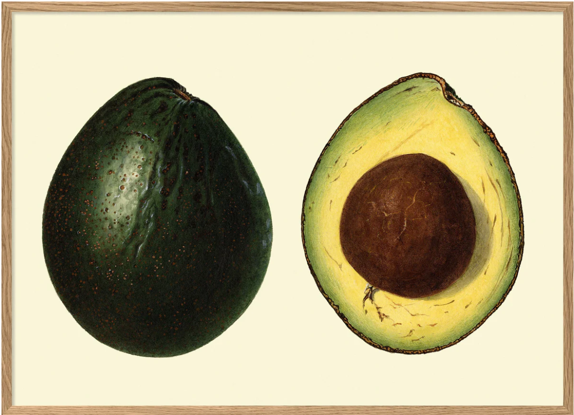 Avocado 50x70