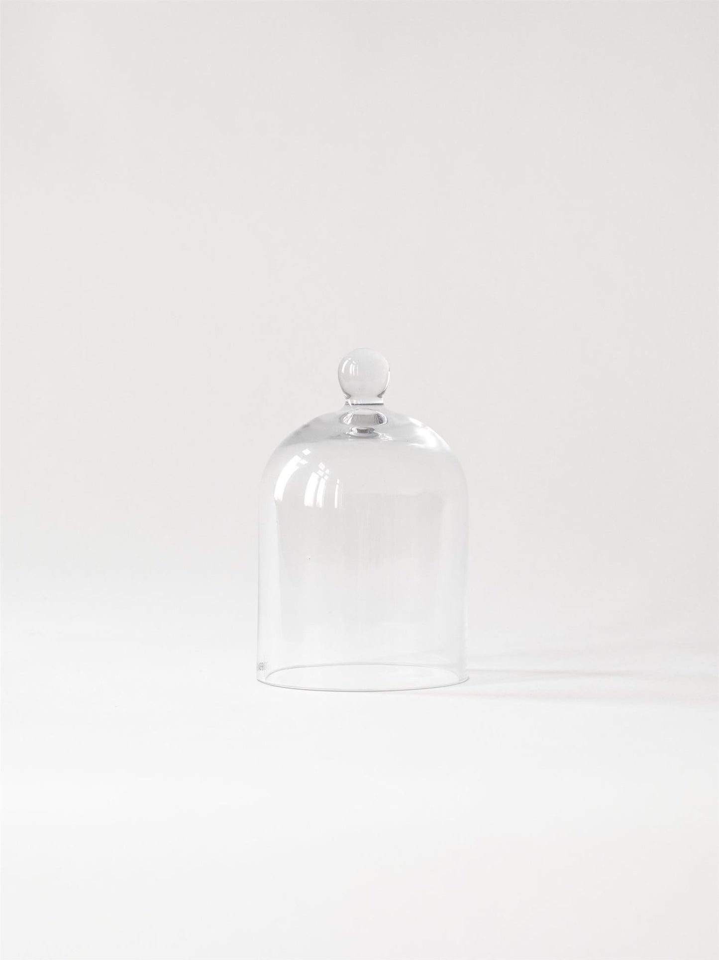 Glass dome Clear