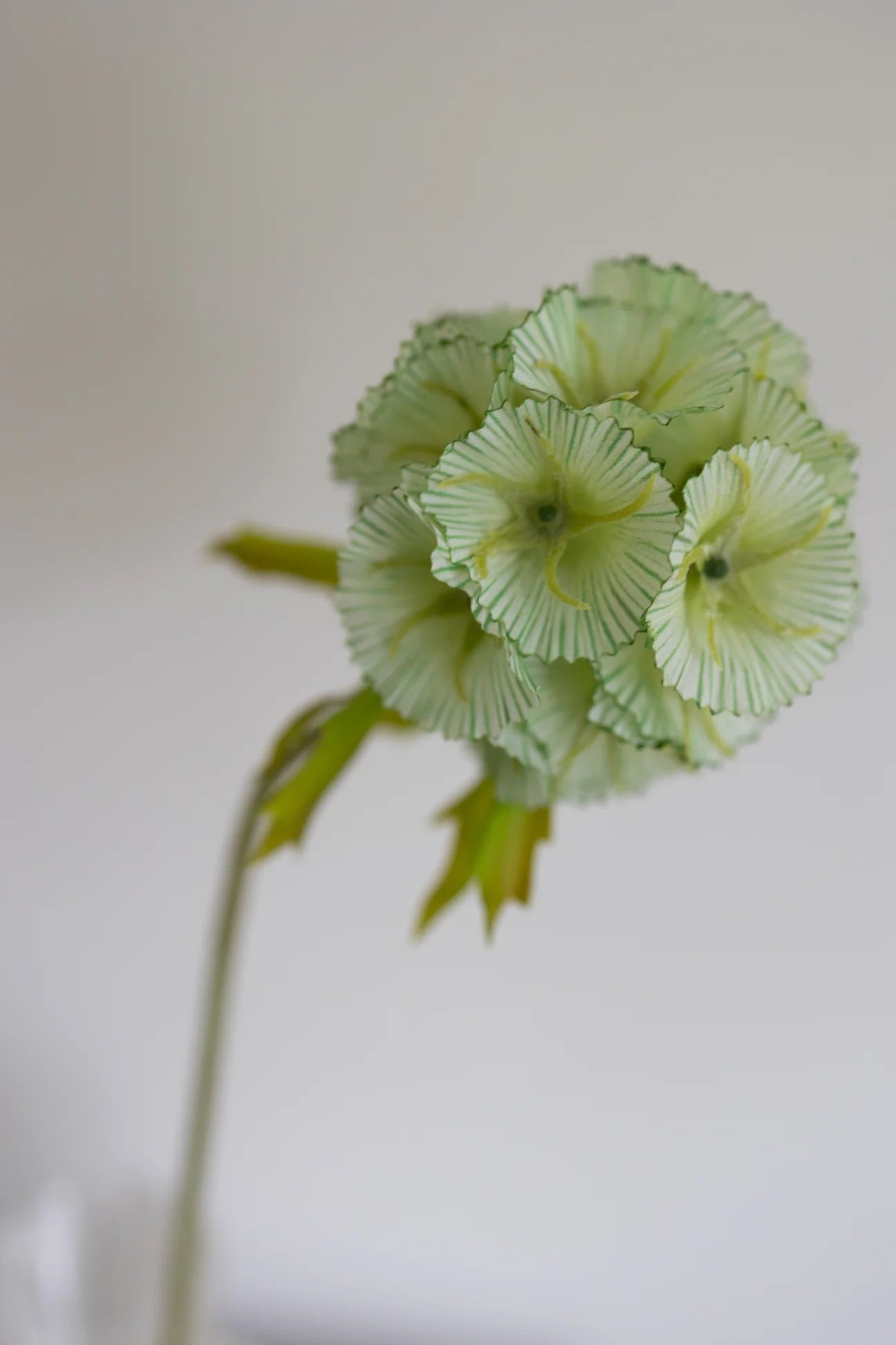 Artificial Scabiosa Flower Green
