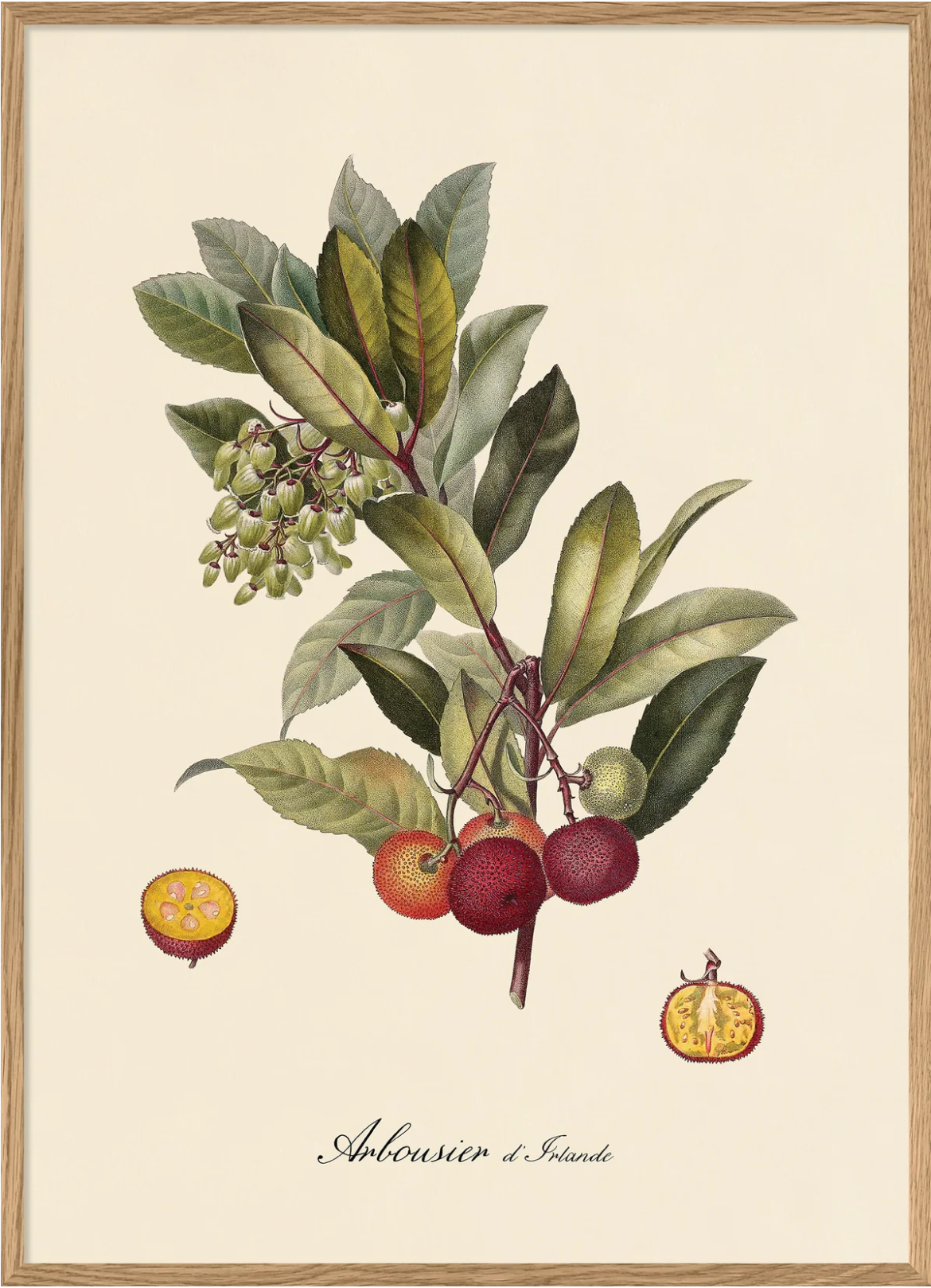 Arbousier d'Irlande 50x70 Oak