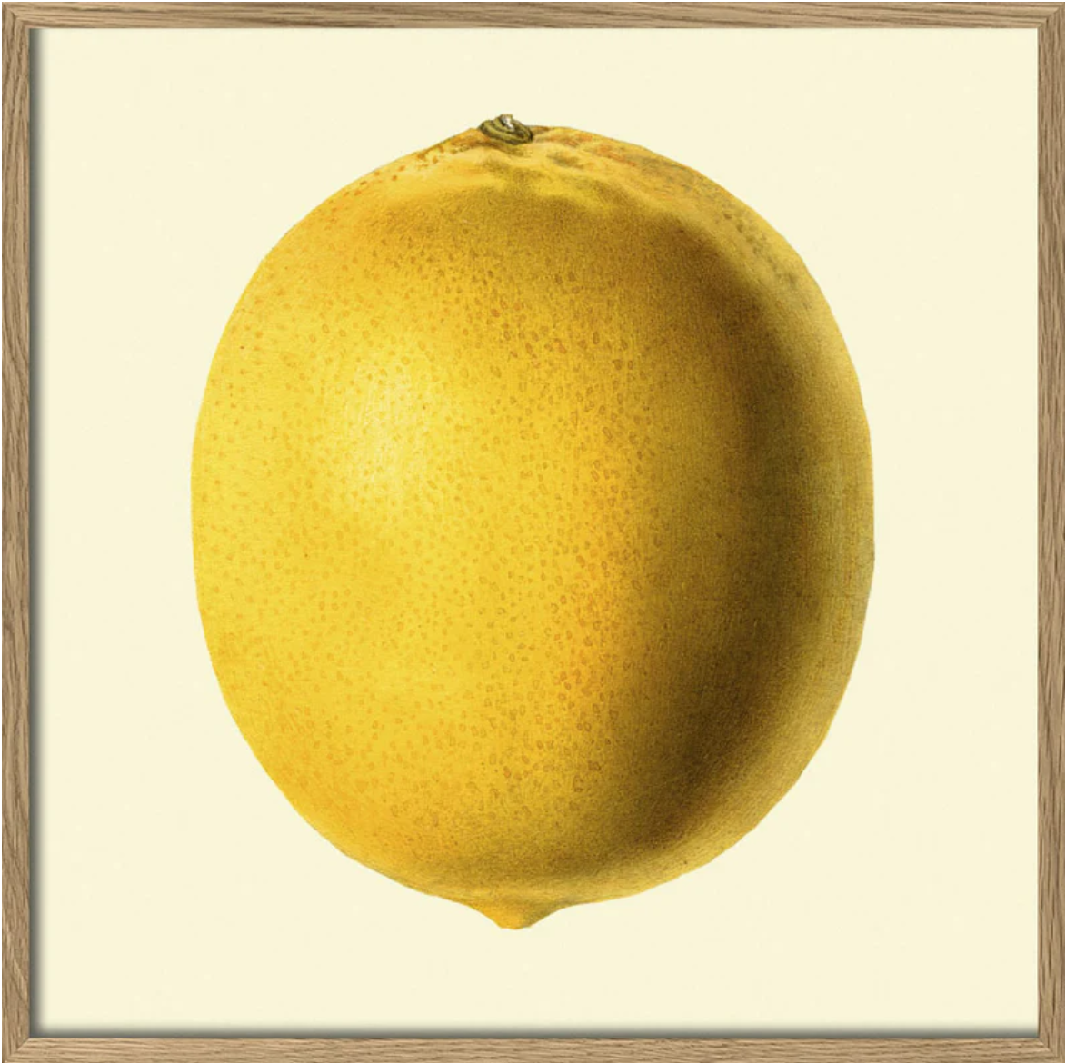 Lemon Closed 30x30
