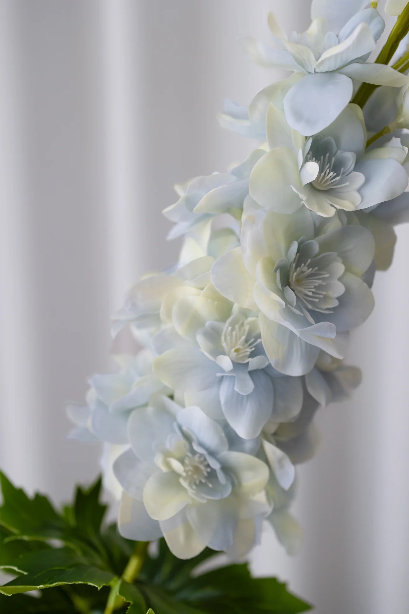 LIGHT BLUE DELPHINIUM