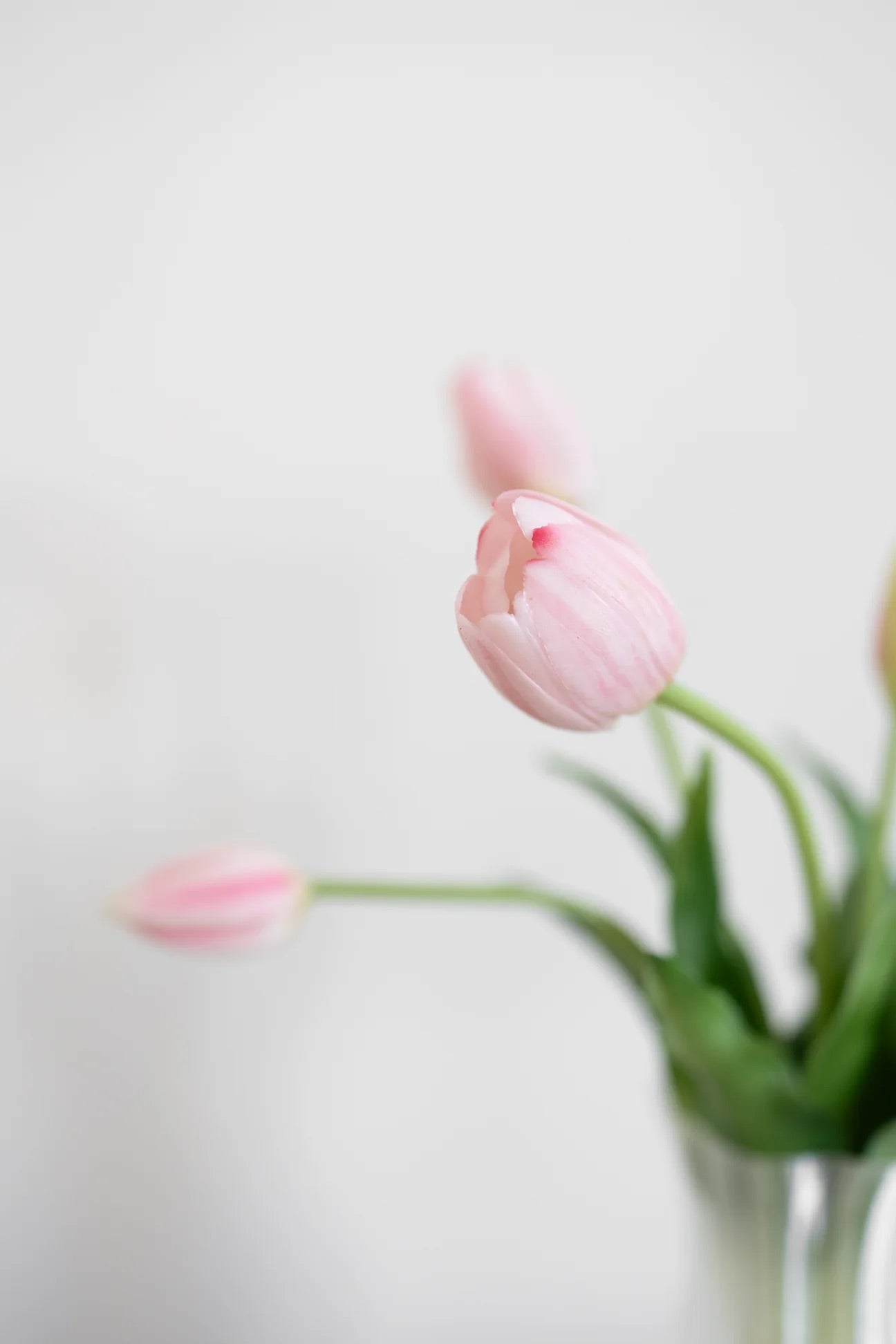 Artificial Layered Tulips