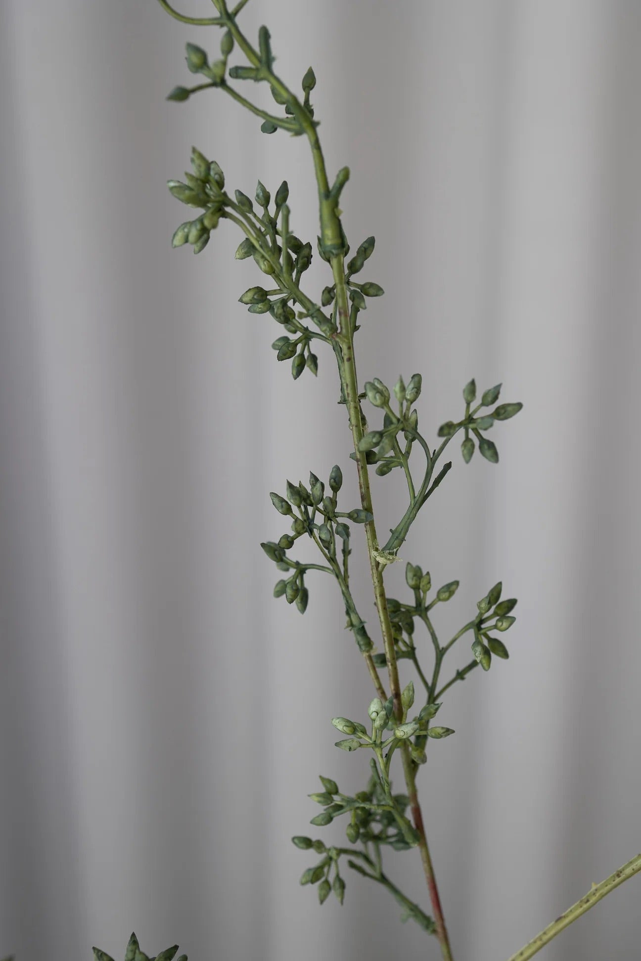 Artificial Eucalyptus Seed Green