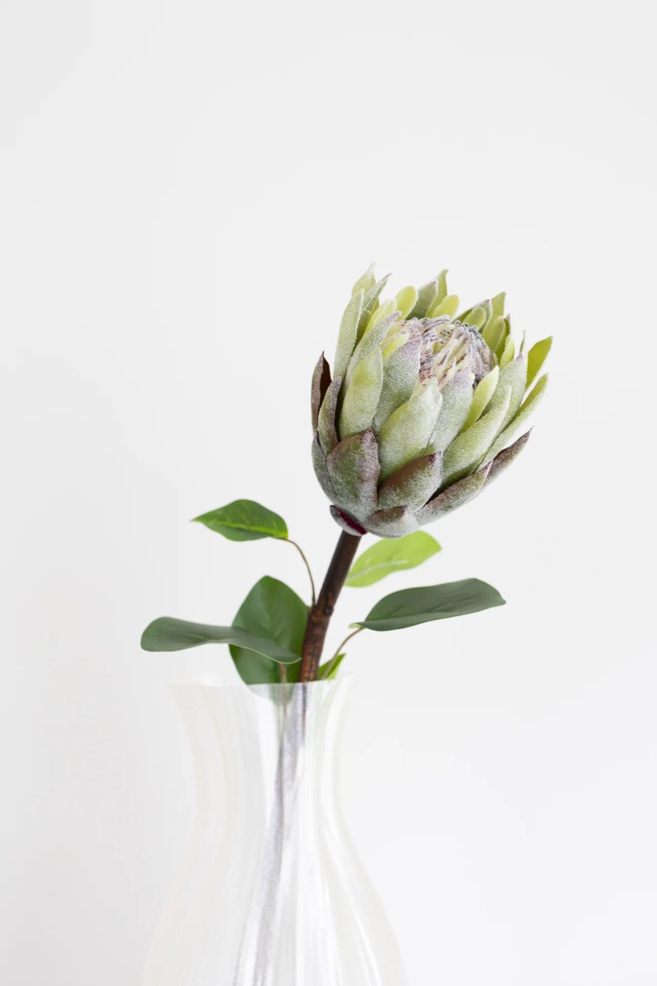 Artificial Protea