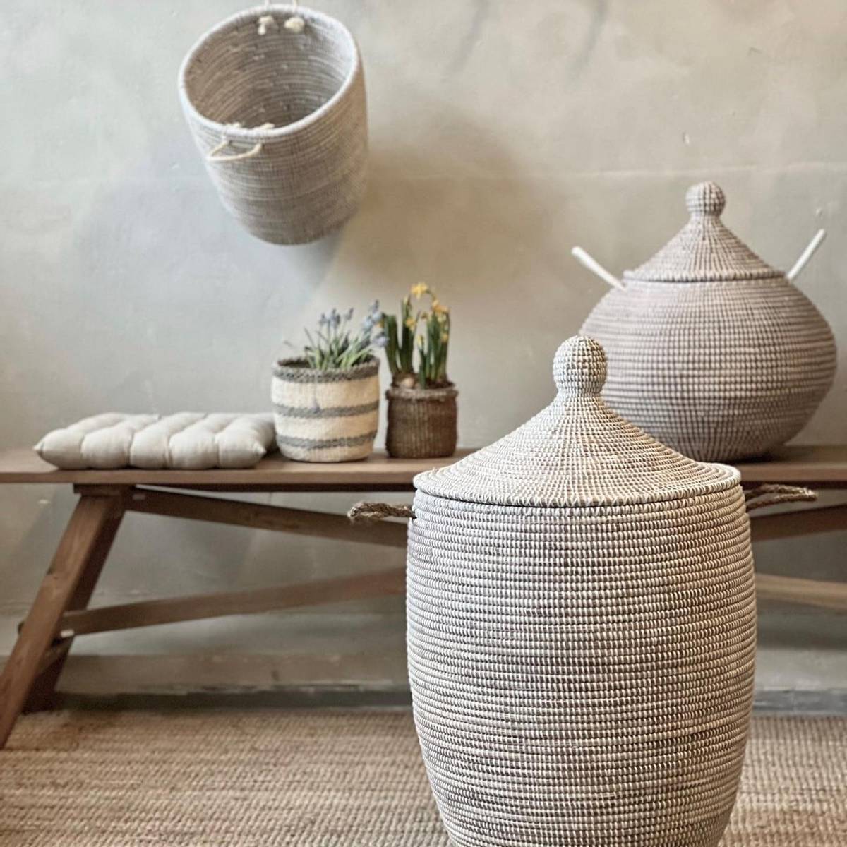 Savannenkurv hvit Medium