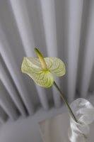 Artificial Lifelike Anthurium