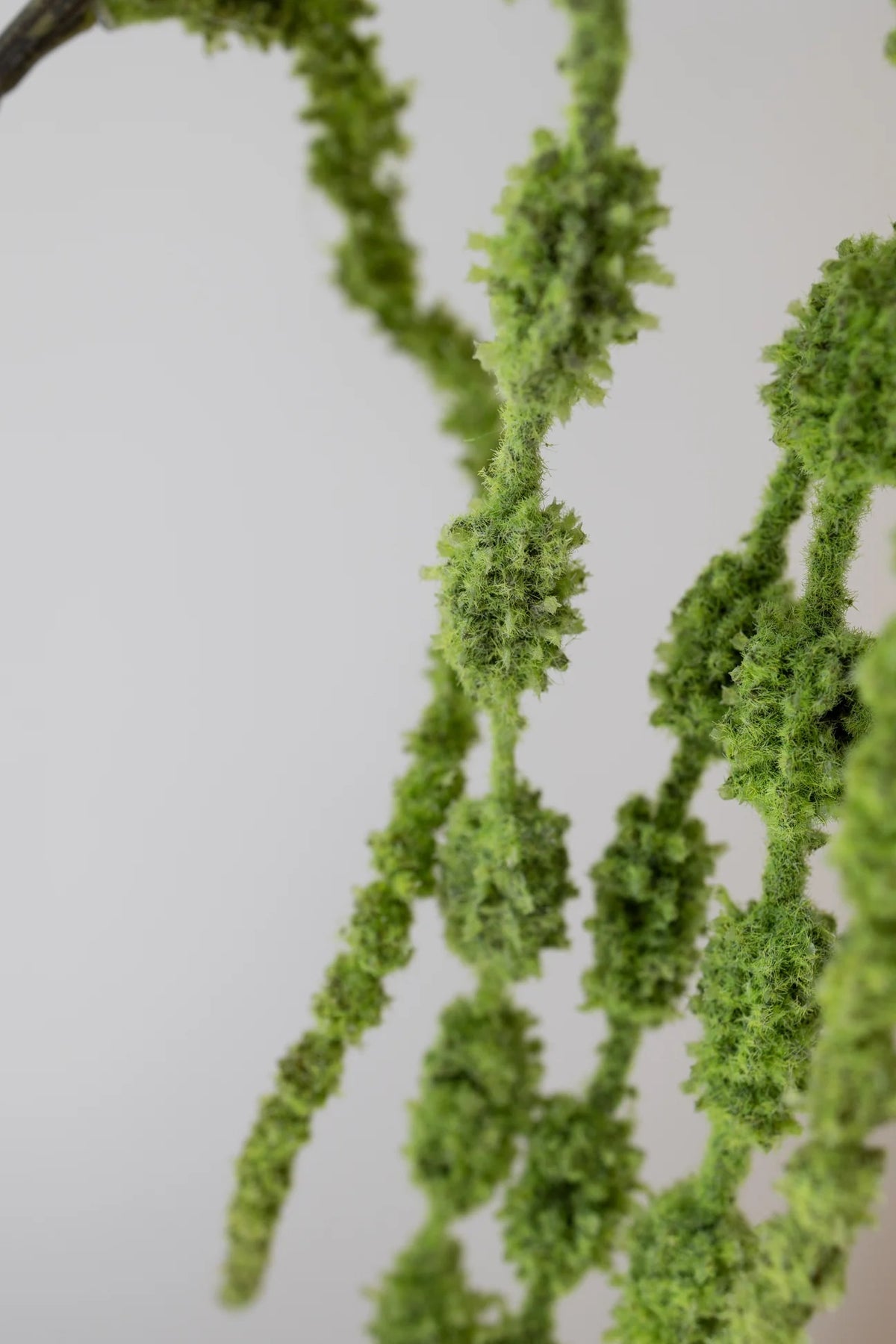 Artificial Amaranthus 6 fork Dark Green