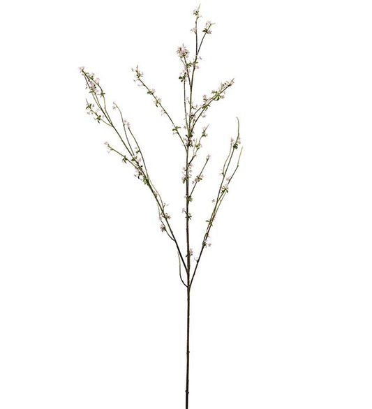 BLOMKVIST
