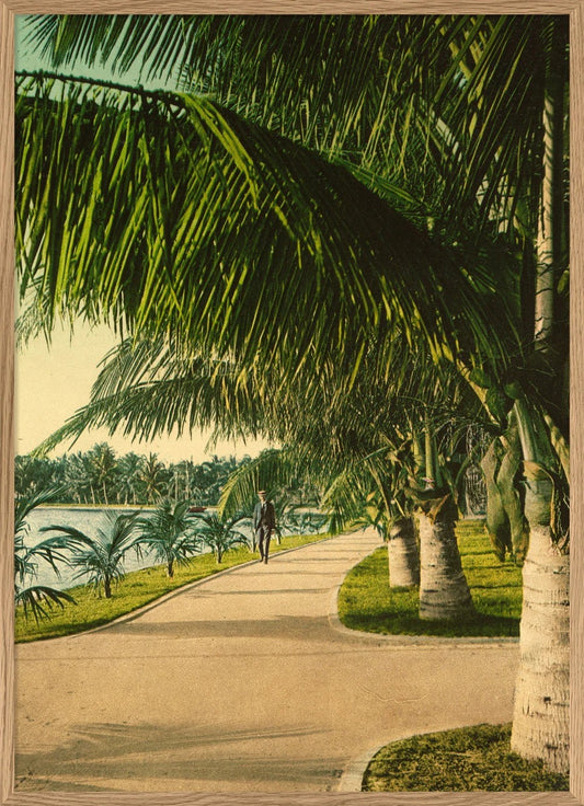 The Walk at Palm Beach 50x70