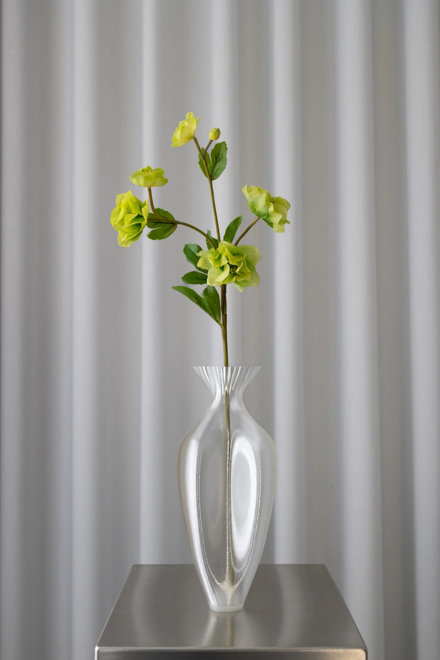 Hellebore Flower GREEN