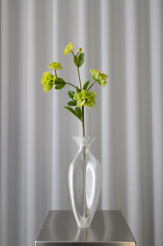 Hellebore Flower GREEN
