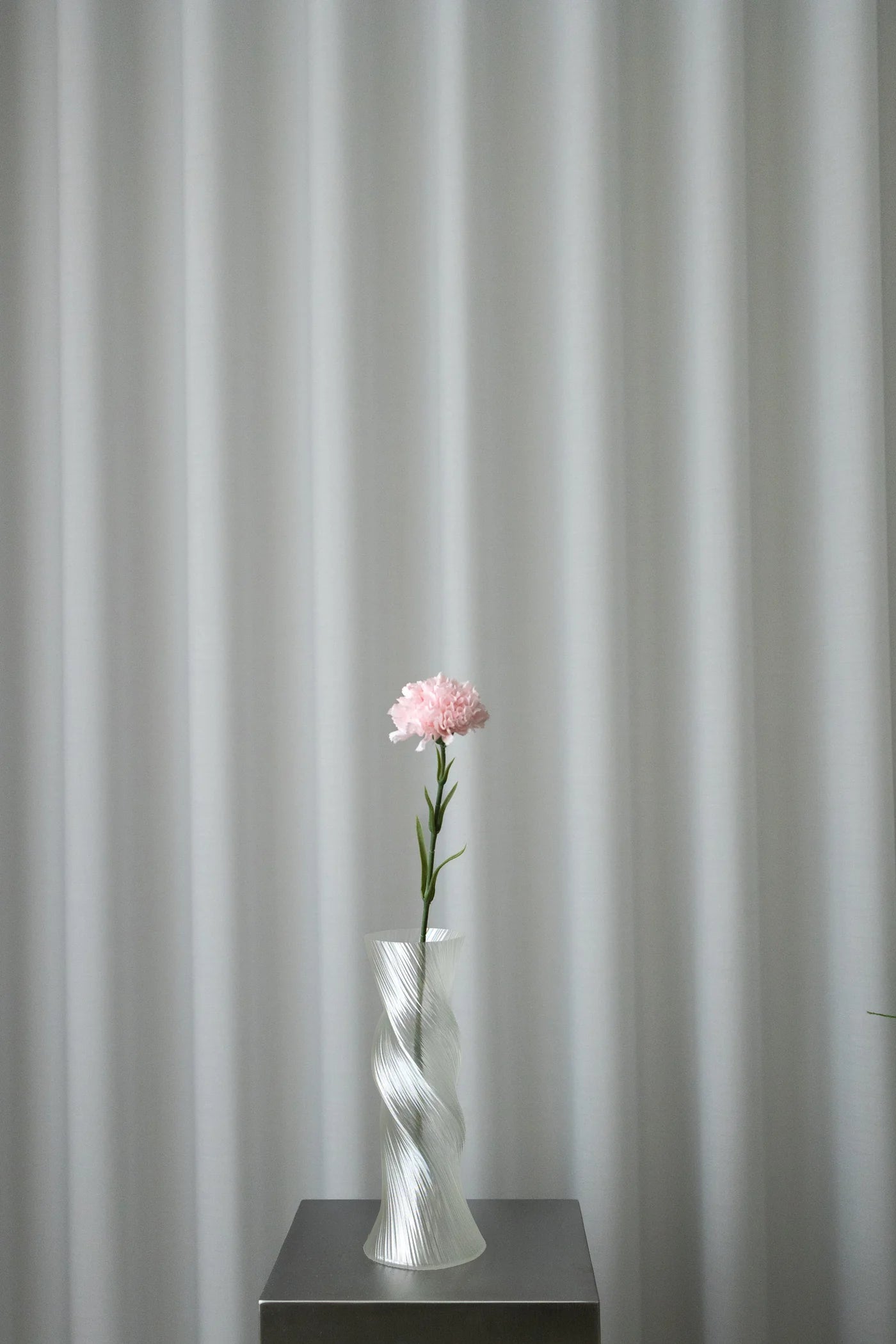 CARNATION PINK