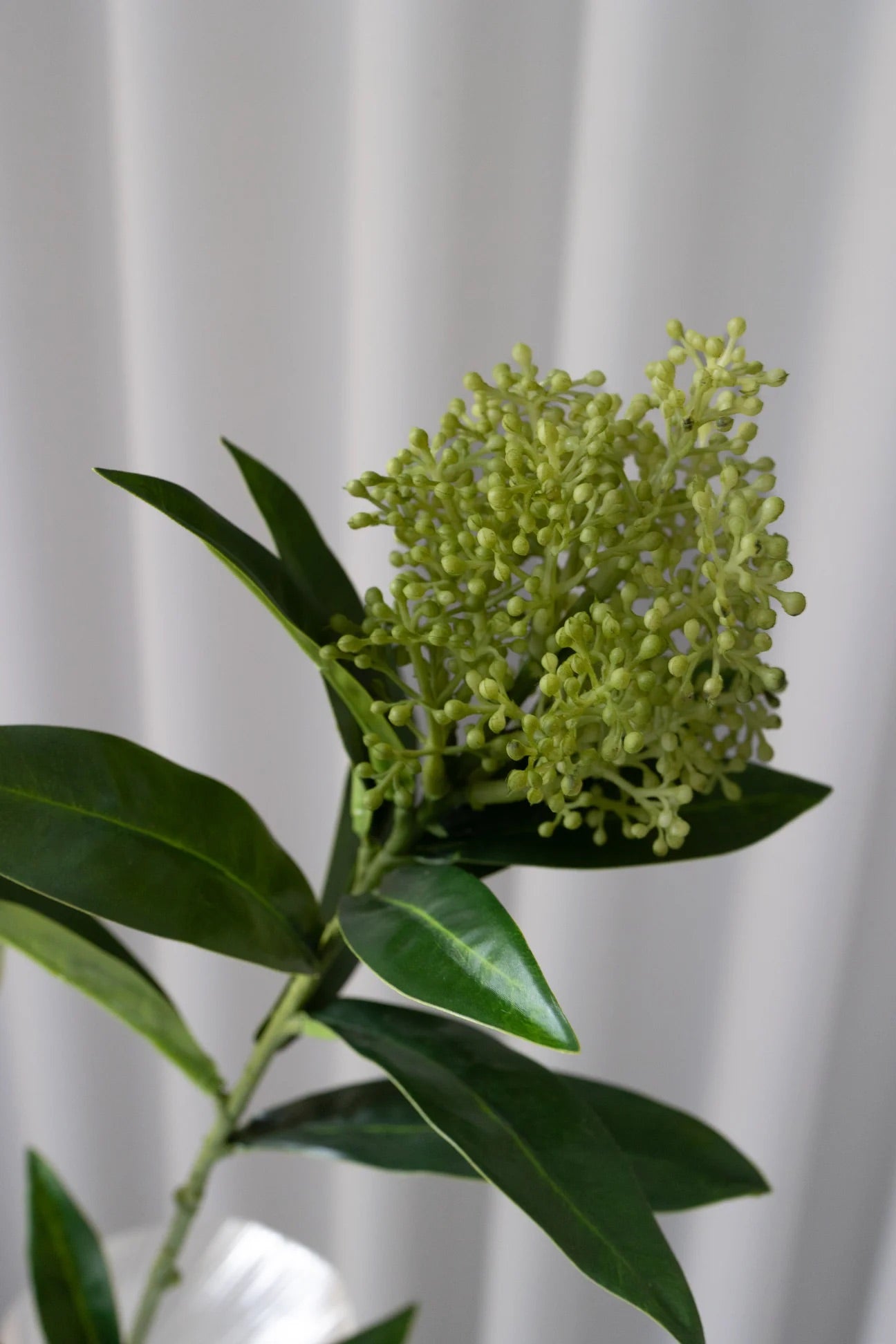 Artificial Skimmia Berry Green