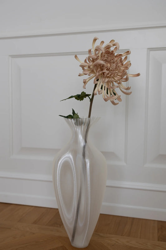 Chrysanthemum BEIGE