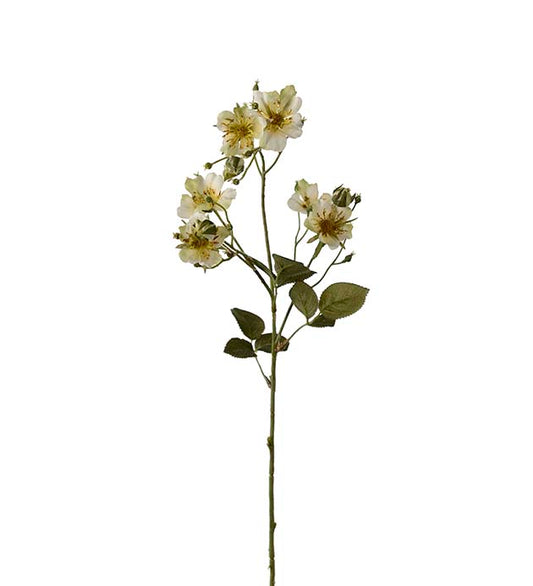 JAPANSK KLÆTTERROS H65cm