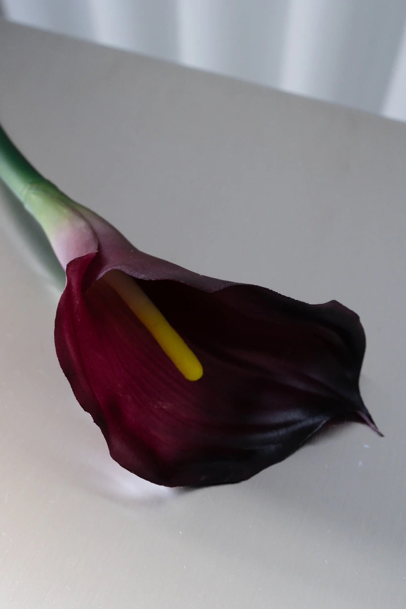 Artificial calla Lilly bordeaux