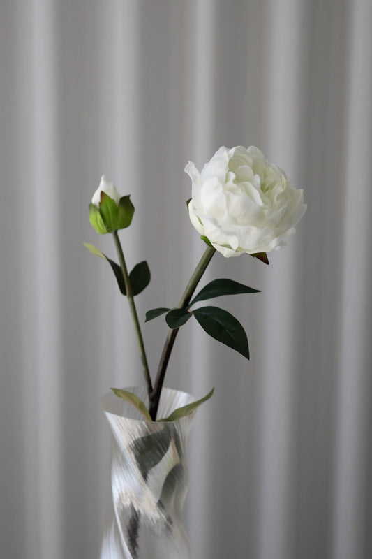 CLOSED PEONY WHITE