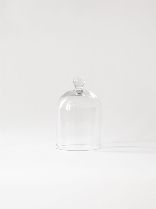 Glass dome Clear