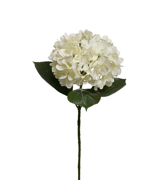 Hortensia 65CM