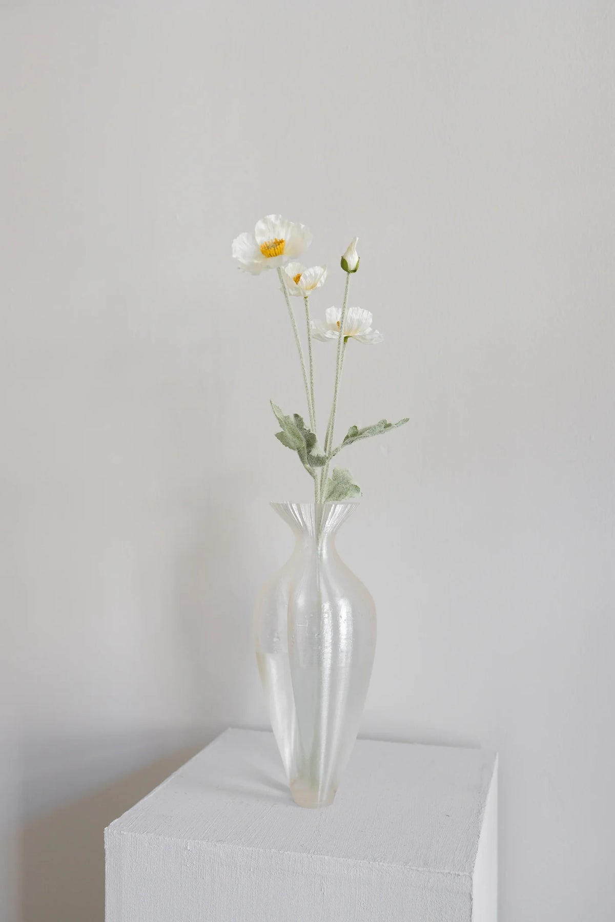 CREAM POPPY