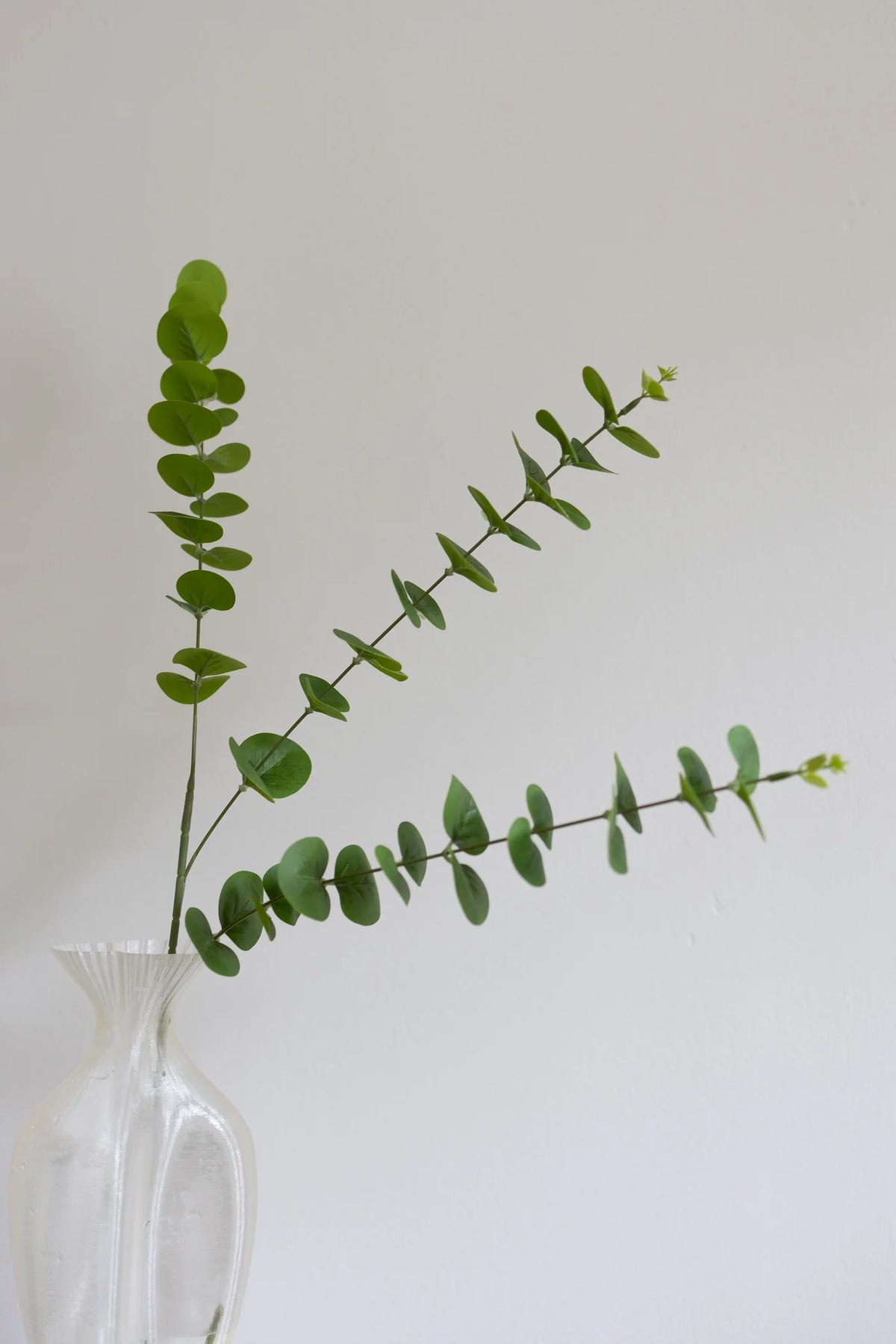 Eucalyptus 88cm