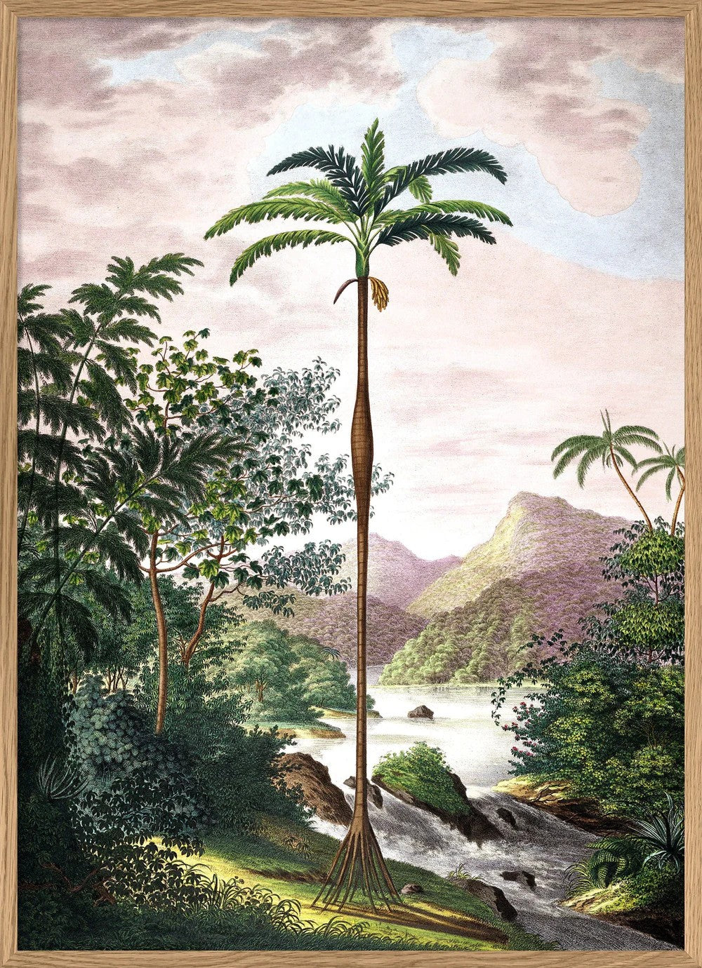 Jungle 70x100