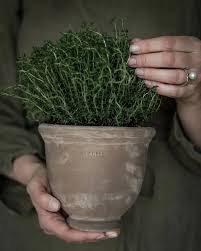 KRUKA D21 H18CM BRUN TERRACOTTA