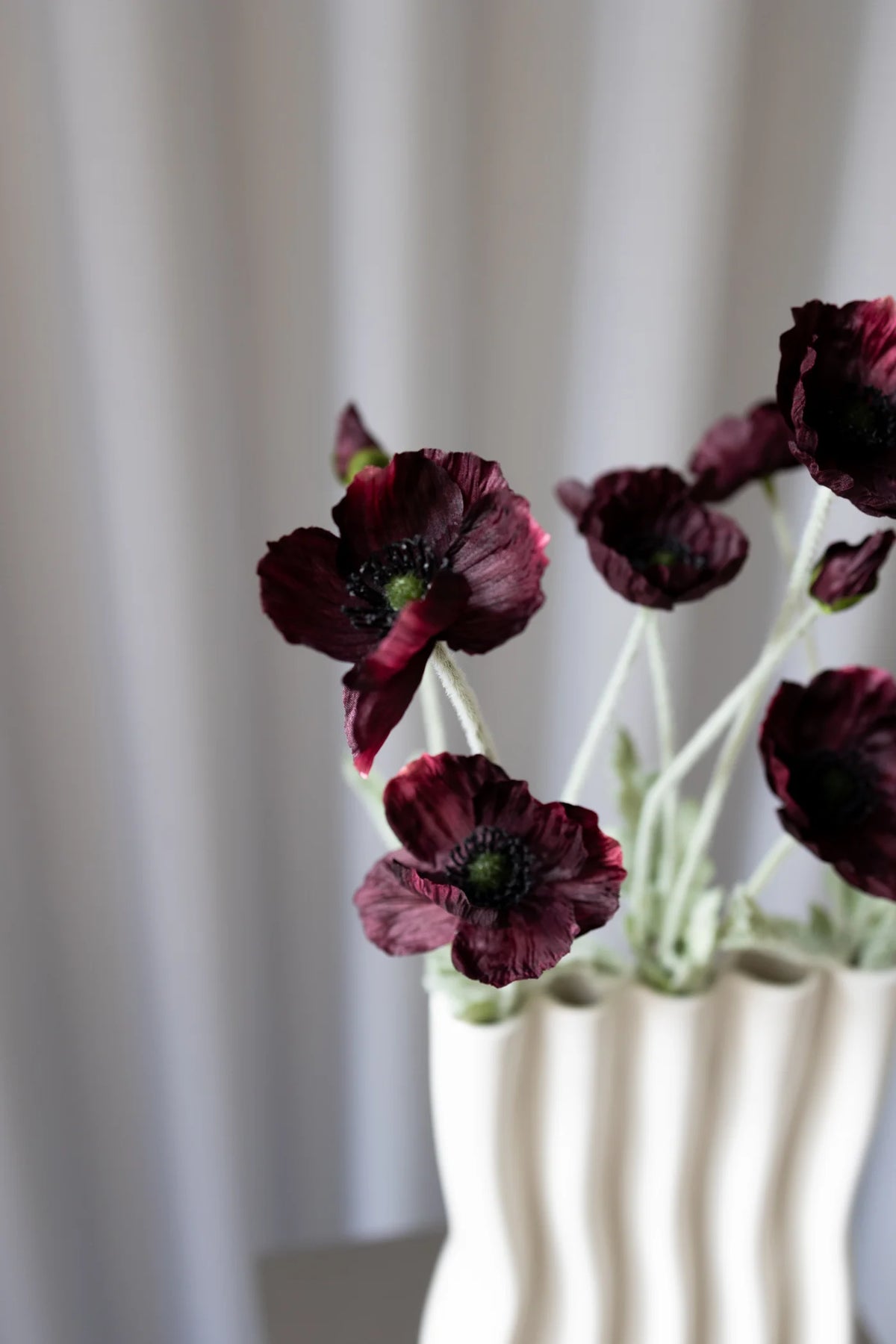 BORDEAUX POPPY