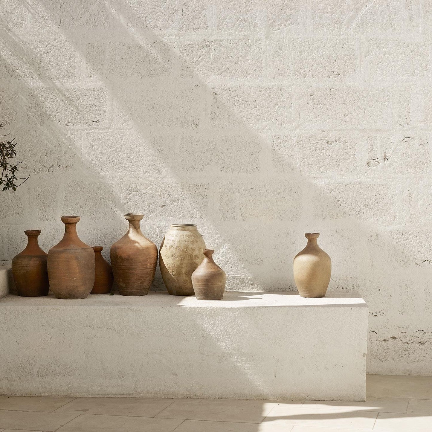 OLD CLAY POT ASS