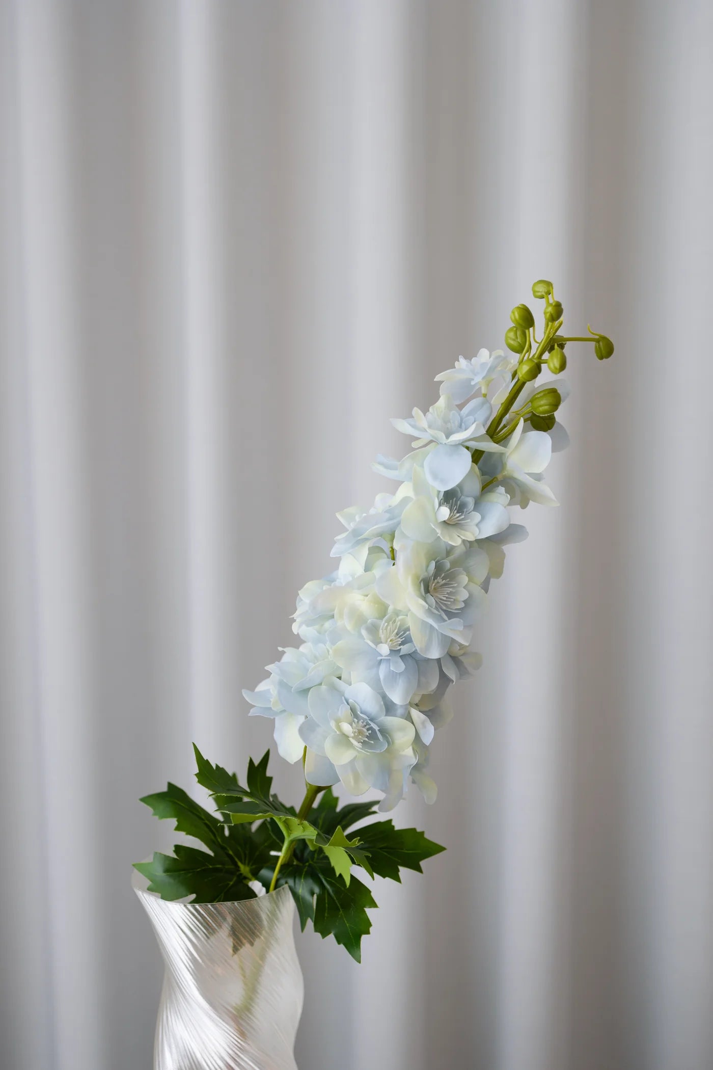 LIGHT BLUE DELPHINIUM