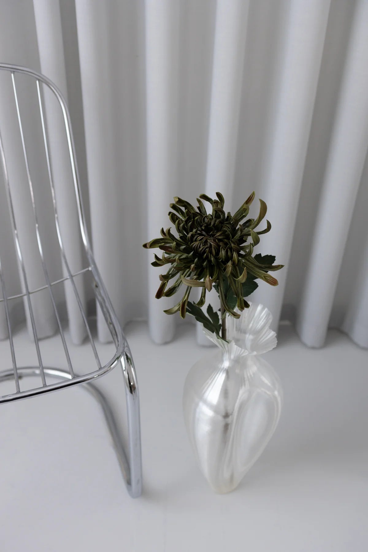 Chrysanthemum Green