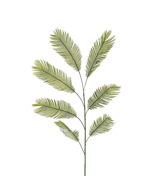 CYCASBLAD