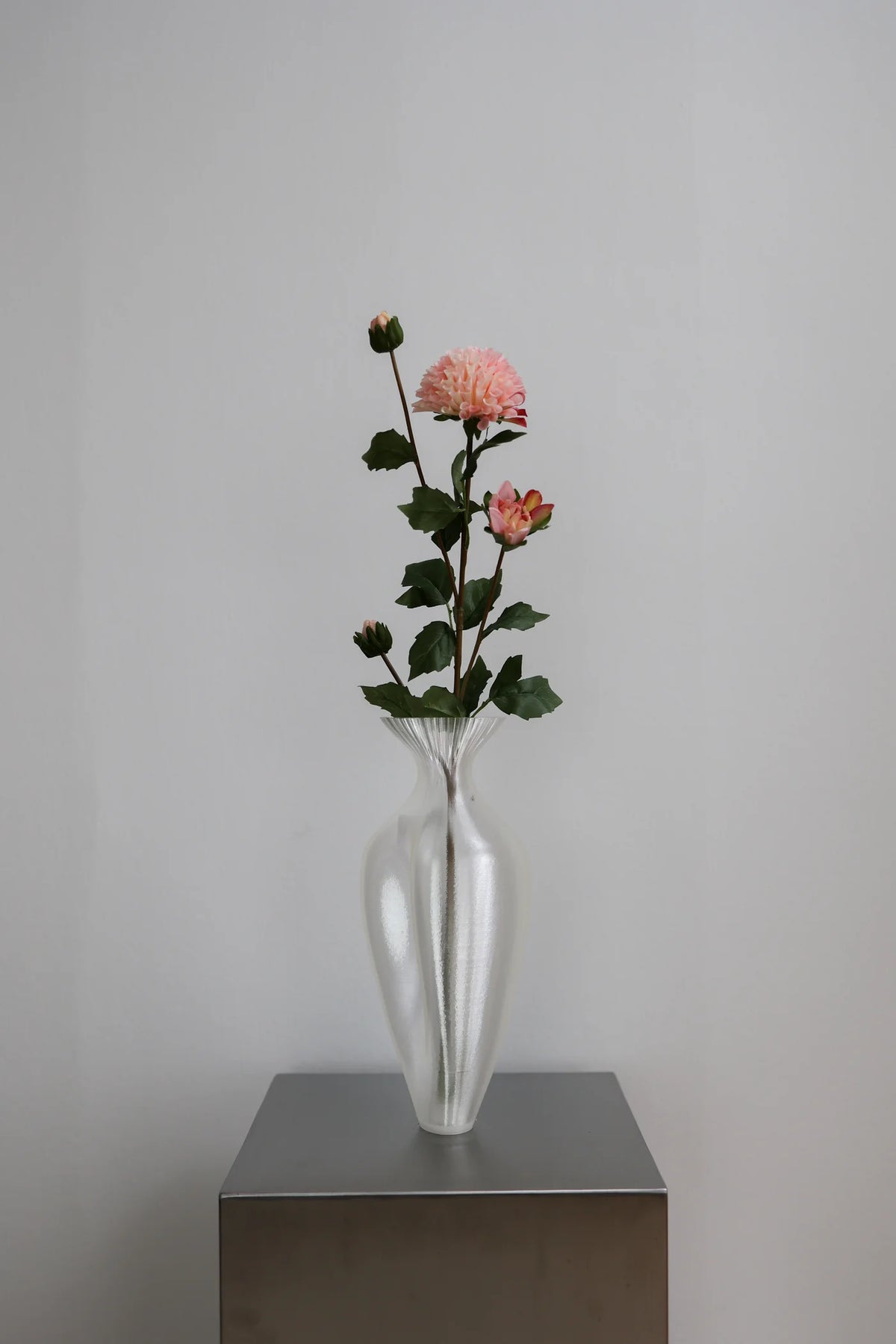 DAHLIA LIGHT PINK