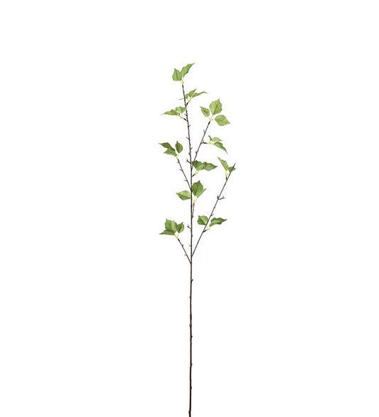 BJØRK H75cm