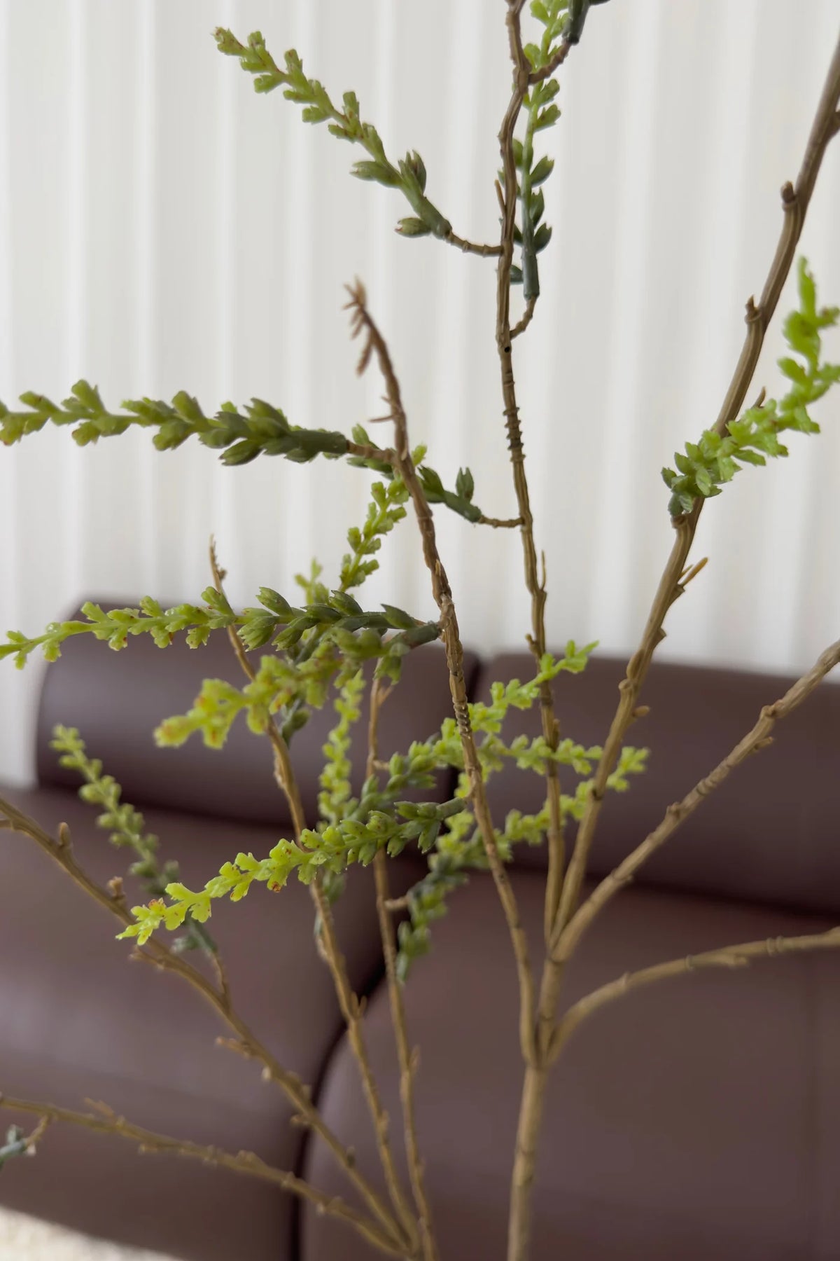 Giller branch-green