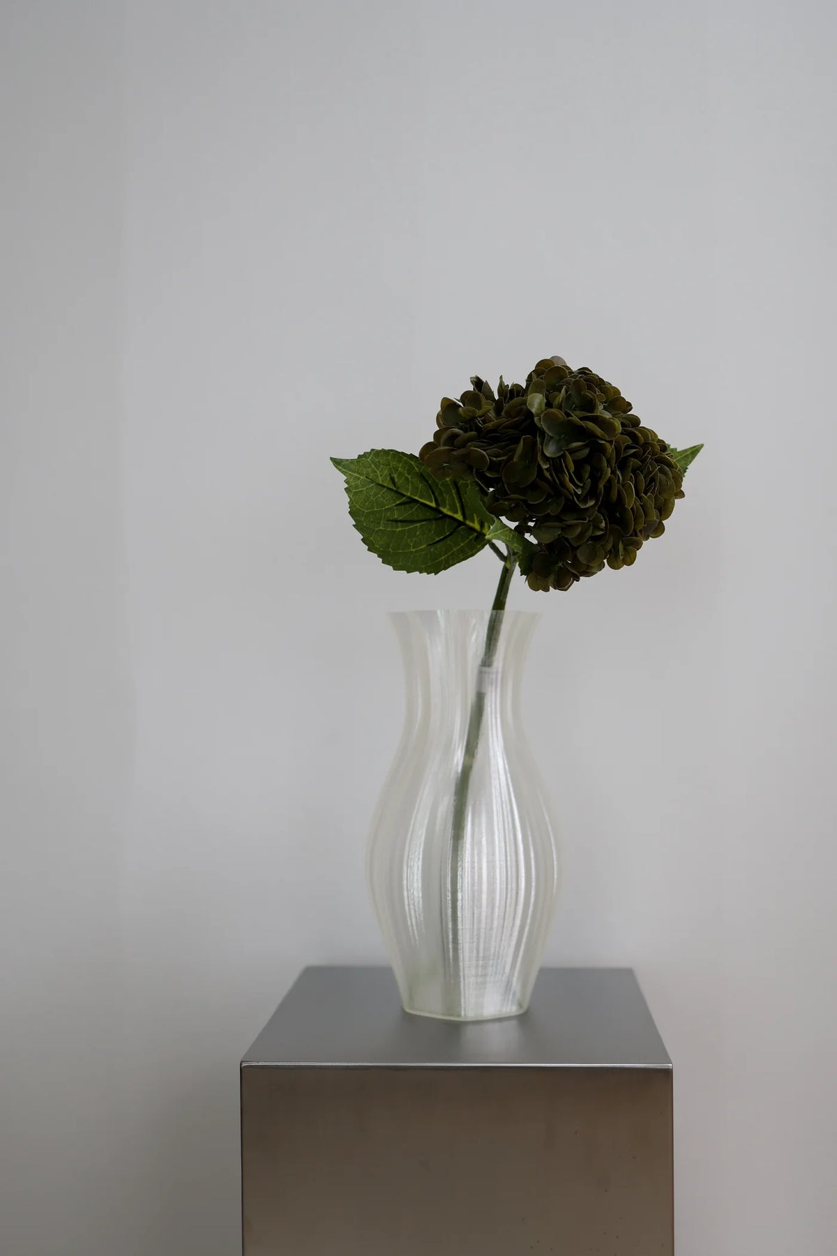 Hydrangea  Faded Green
