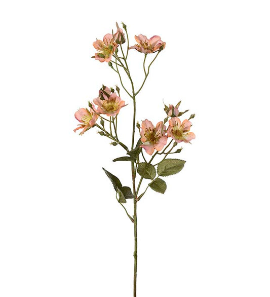 JAPANSK KLÆTTERROS H65cm