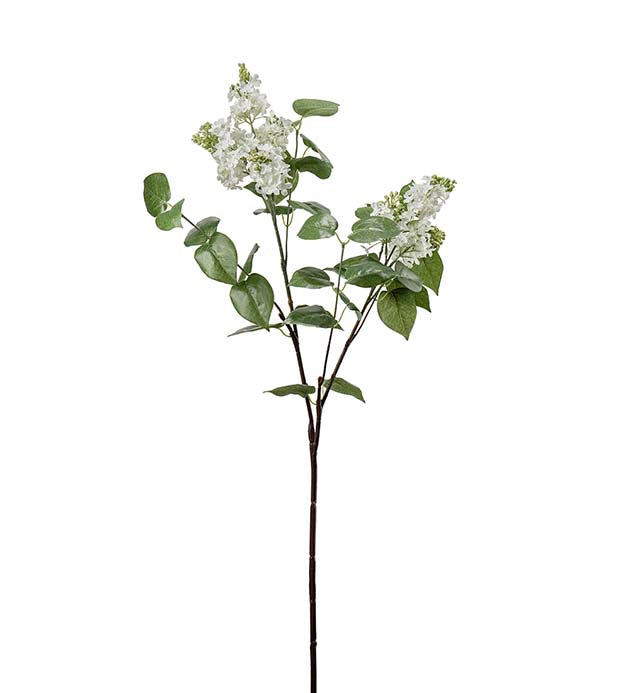 SYREN HVIT H100cm