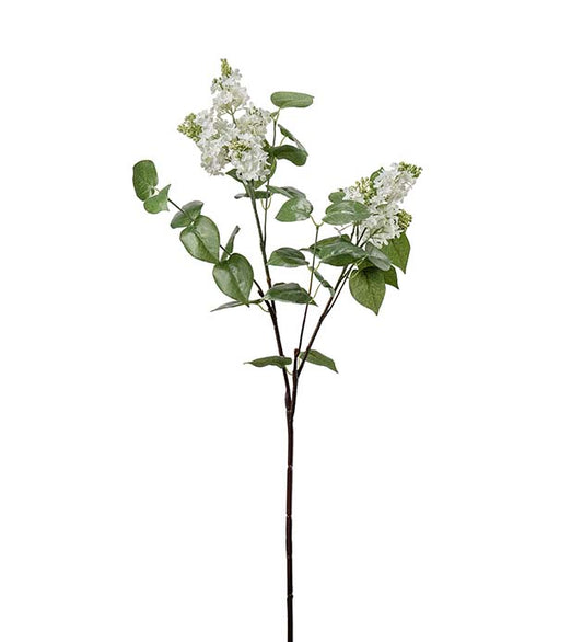 SYREN HVIT H100cm
