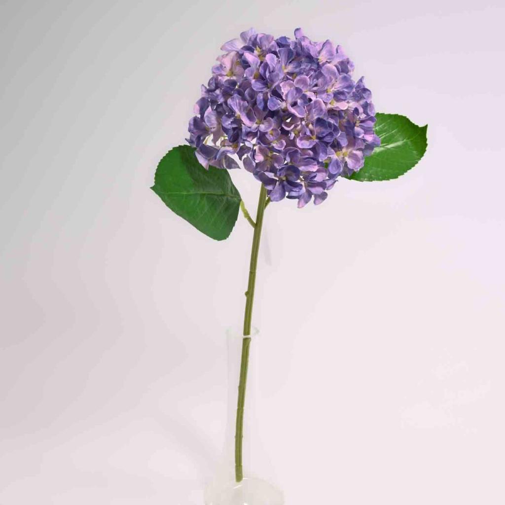 Hydrangea  Light Purple