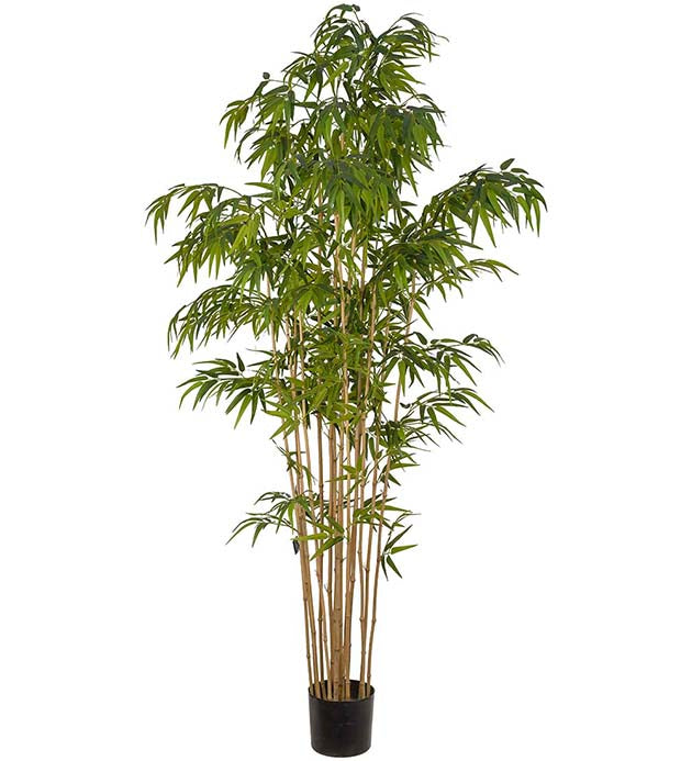 BAMBUS 210CM