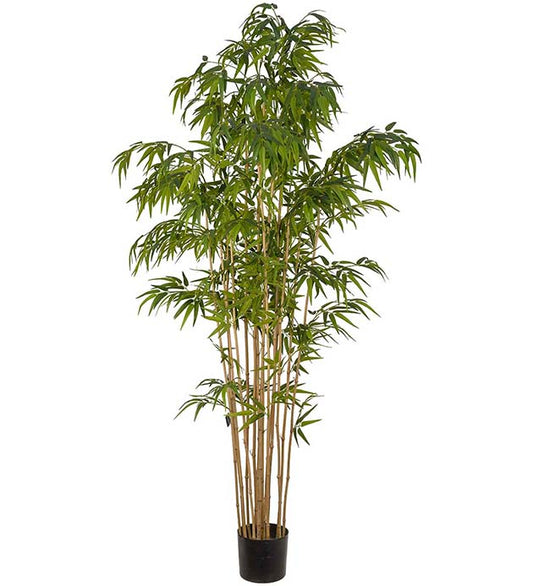 BAMBUS 210CM