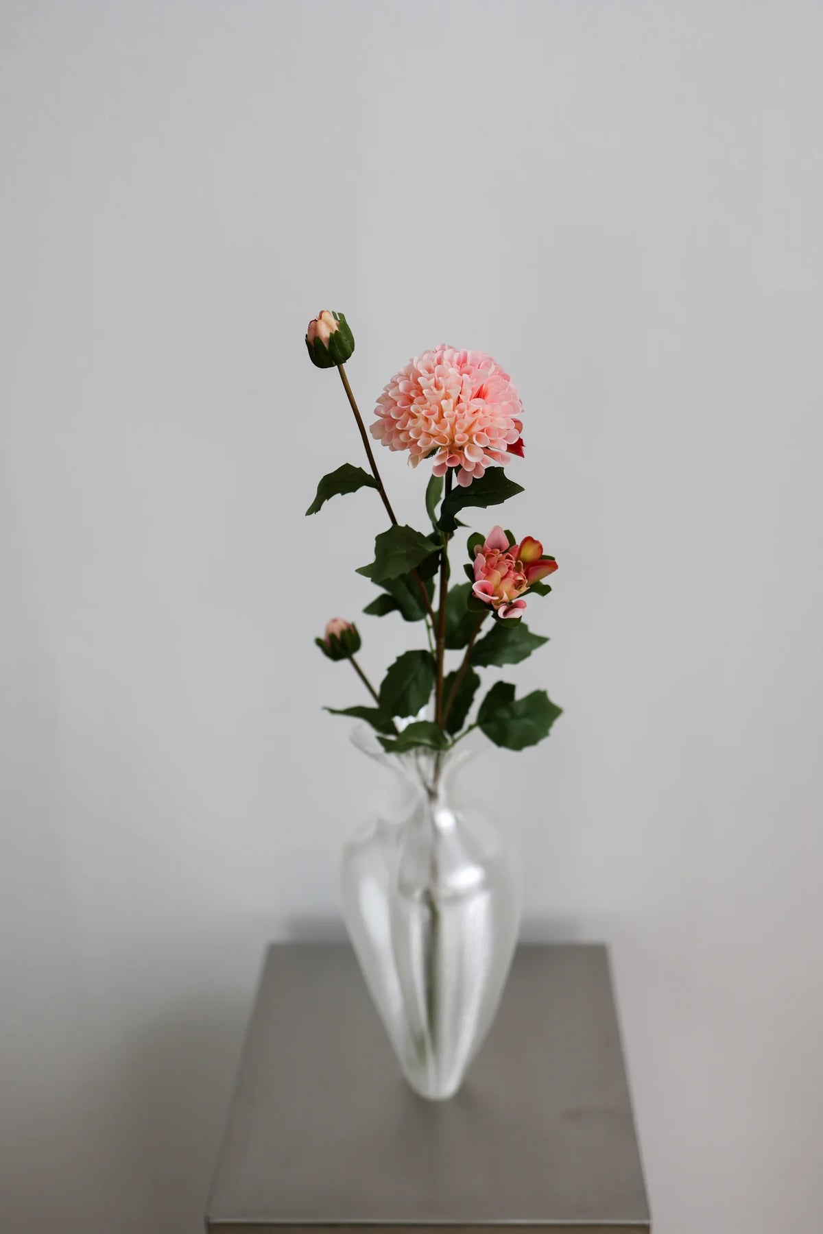DAHLIA LIGHT PINK