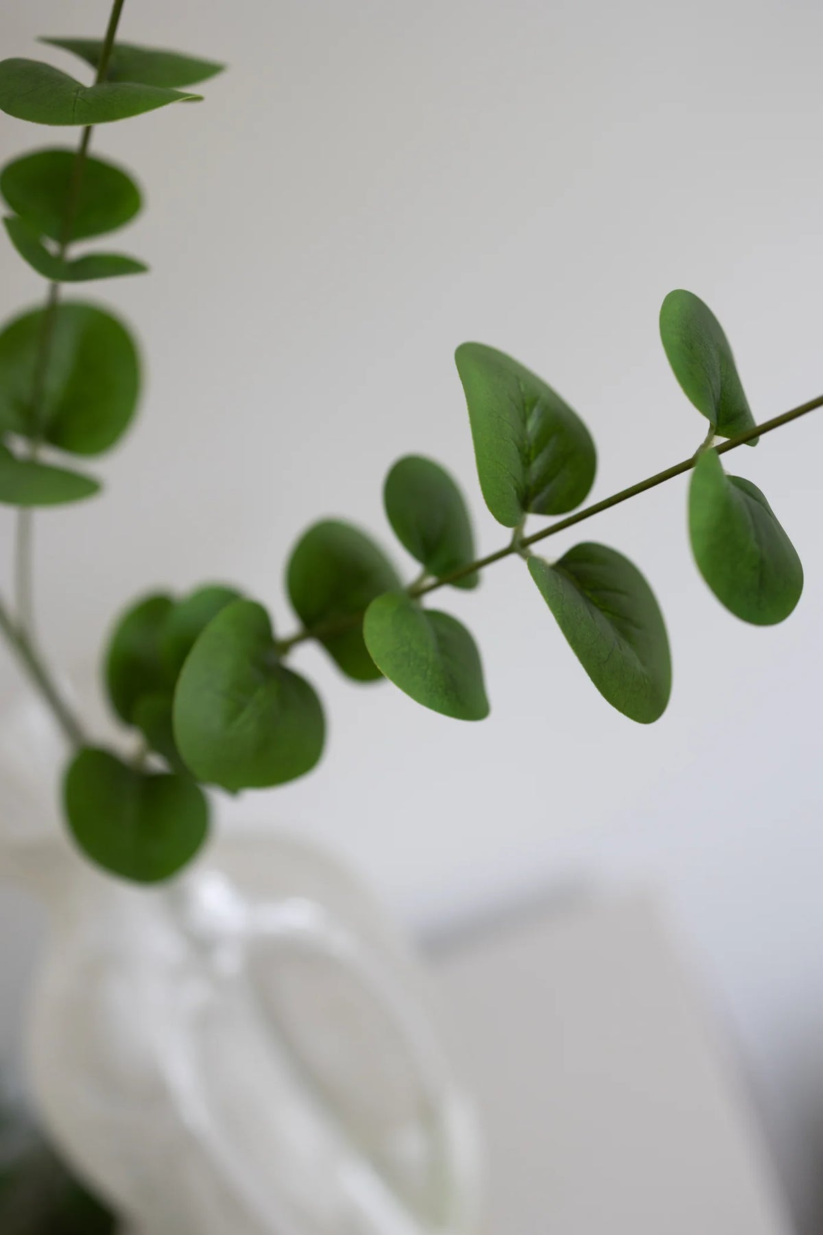 Eucalyptus 88cm
