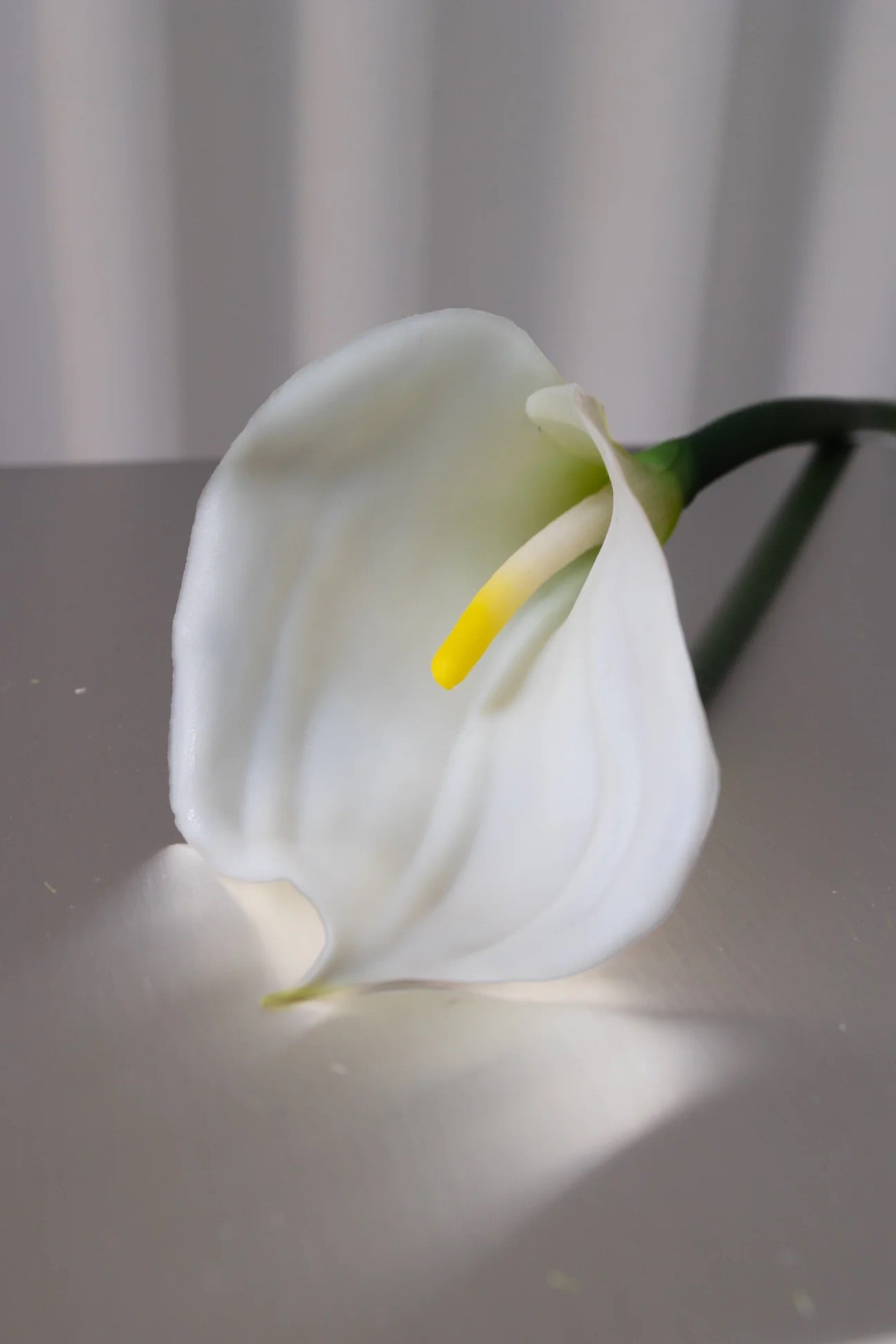 Artificial calla Lilly White