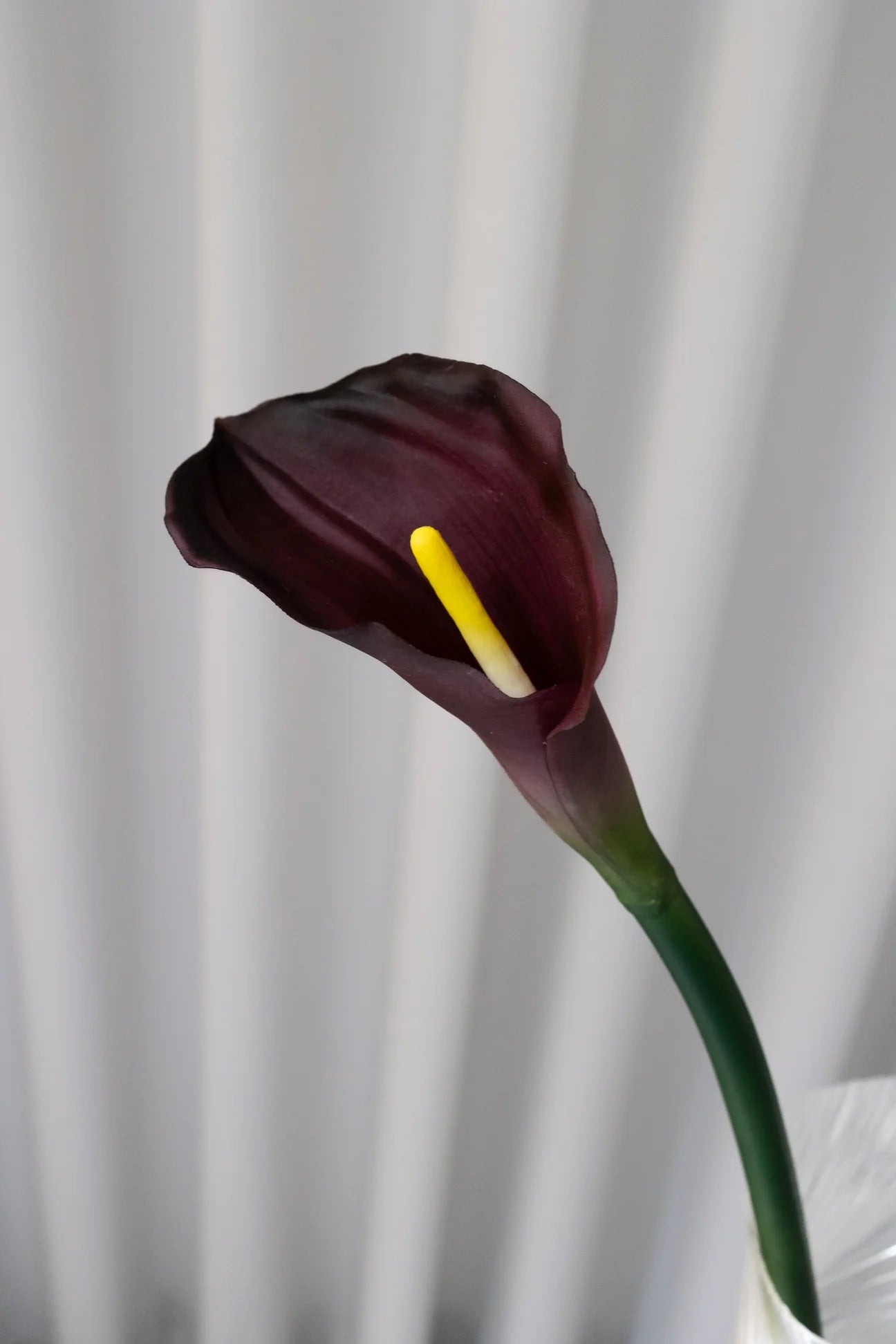 Artificial calla Lilly bordeaux