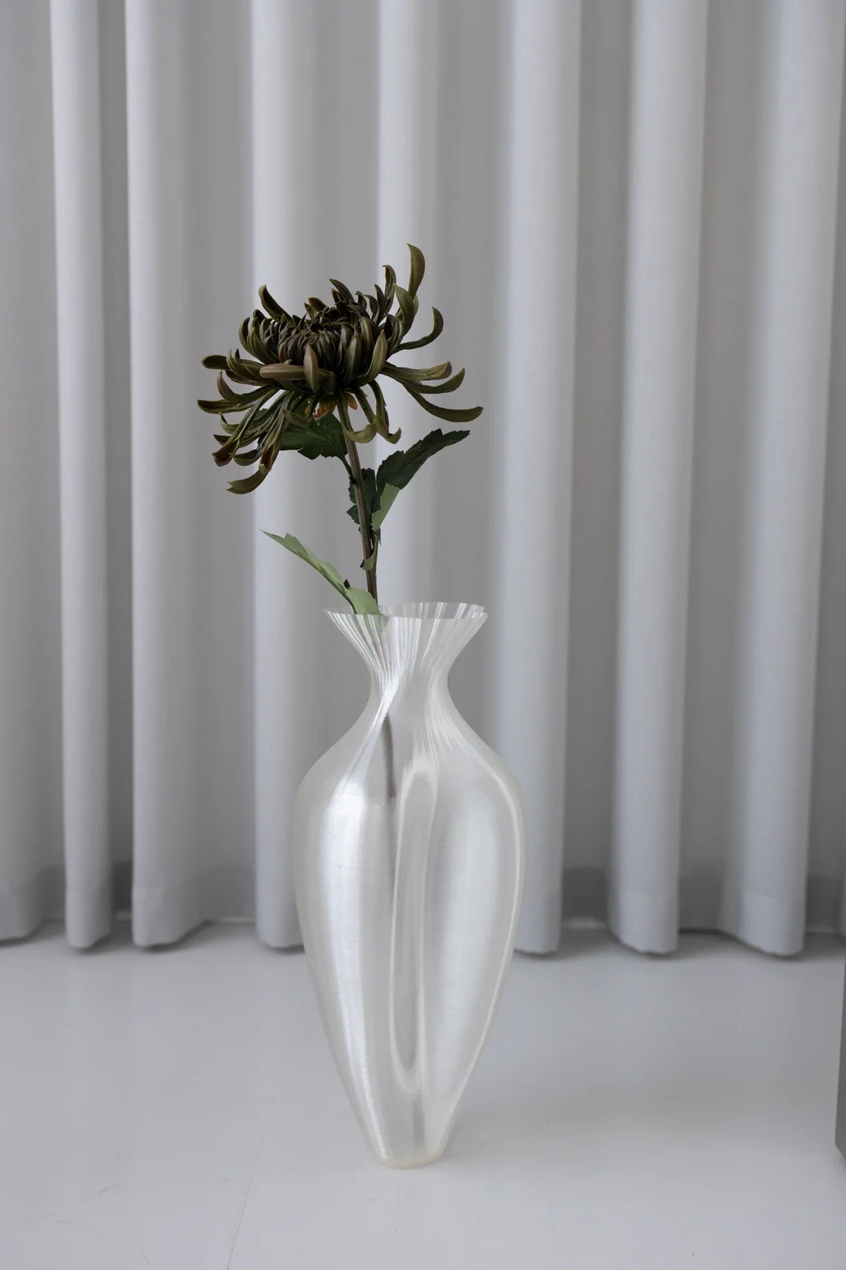 Chrysanthemum Green
