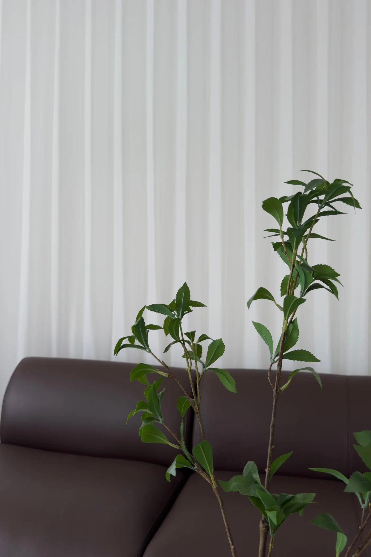 Camellia leaves-green 65 cm